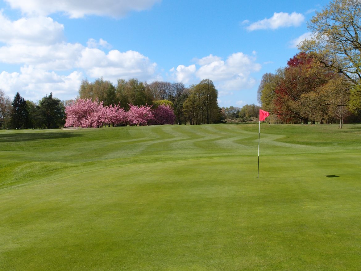 20110412_235.jpg