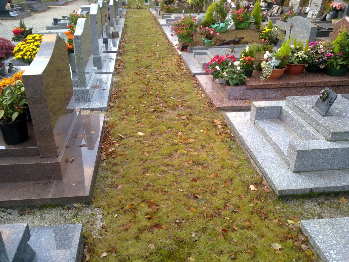 28102011096-1.jpg