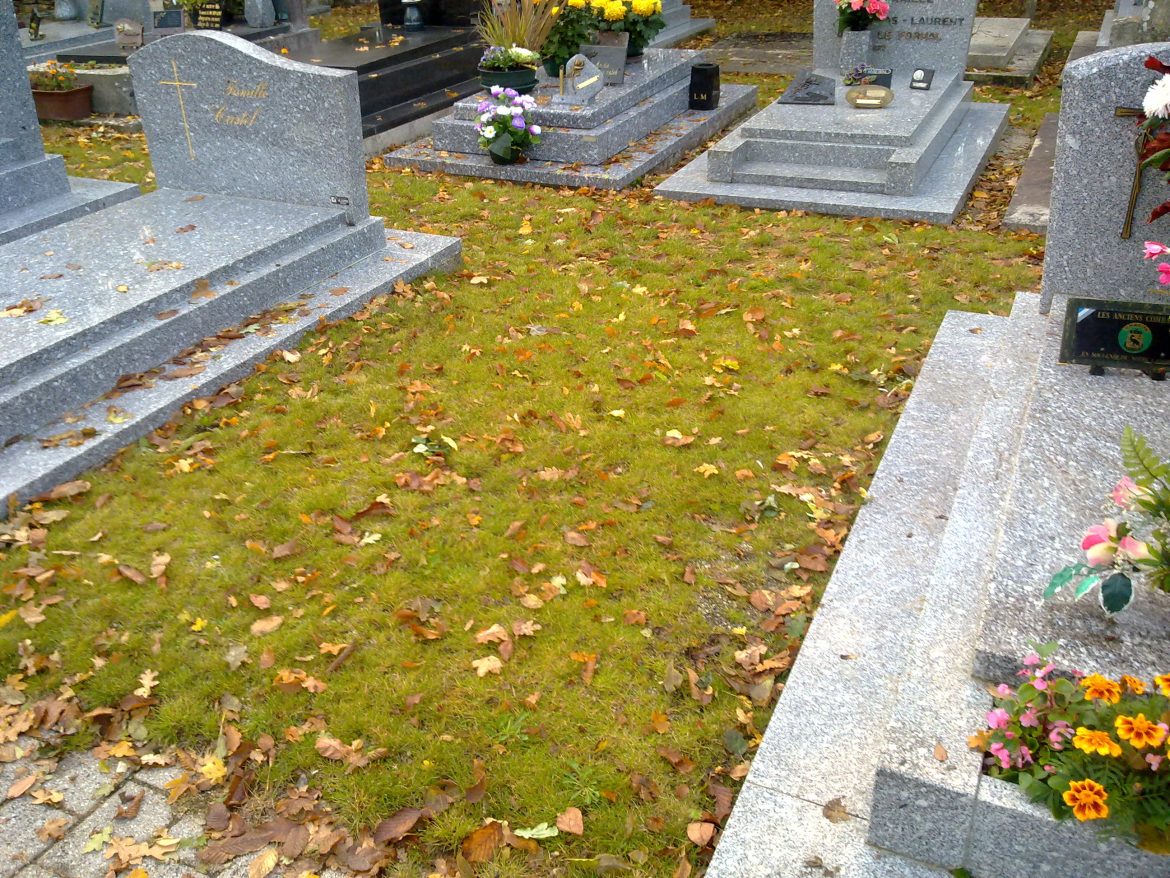 28102011098.jpg