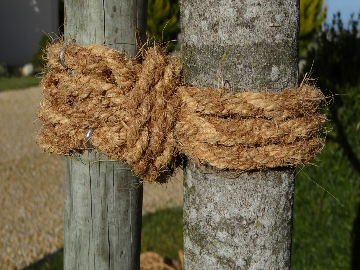 CORDE-COCO-P74.jpg