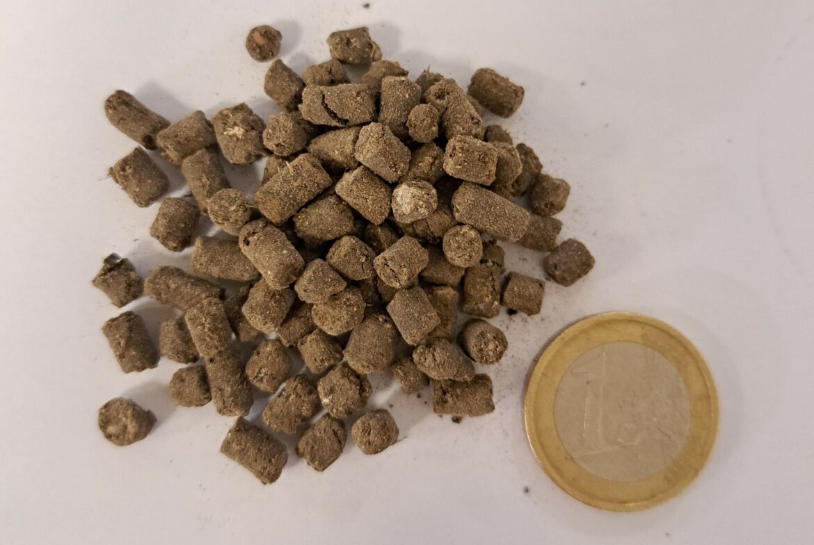 Flori-OR-Humus-redimensionner.jpg