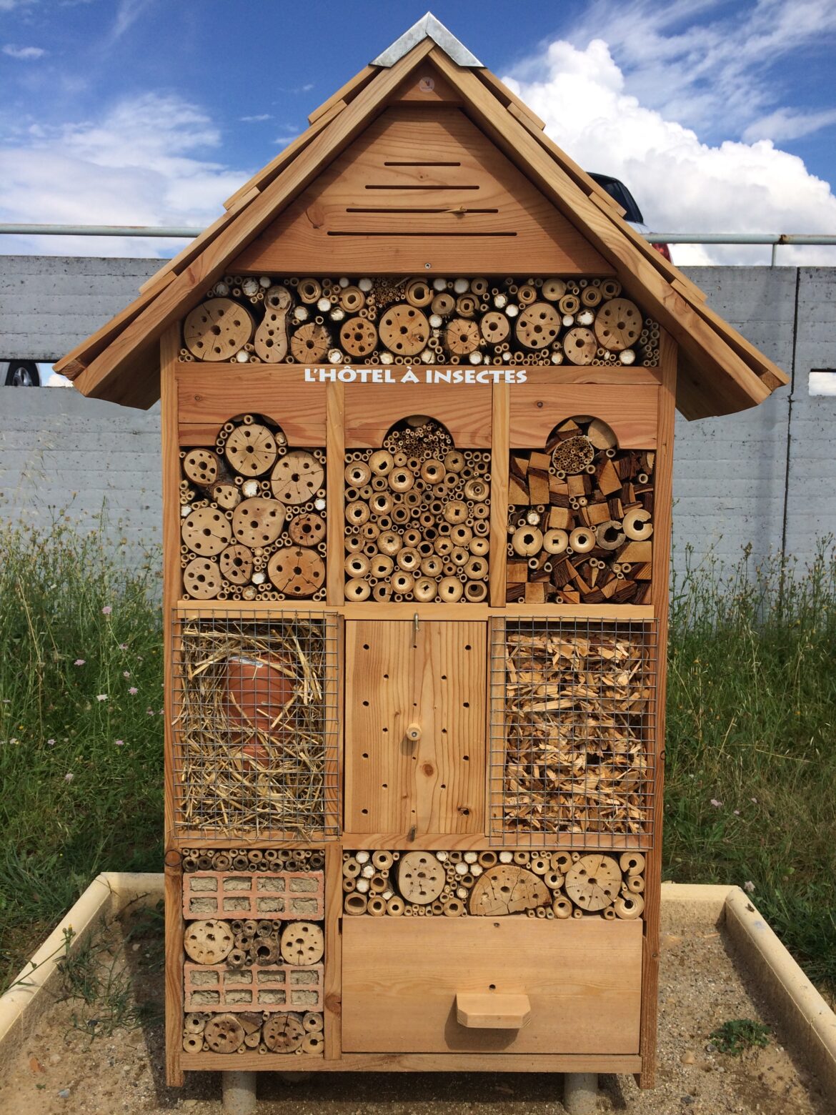 HOTEL-A-INSECTE-2P99.jpg