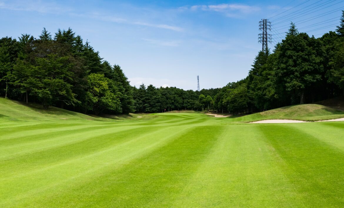 LGDF-fairwaysLRjpg-1.jpg
