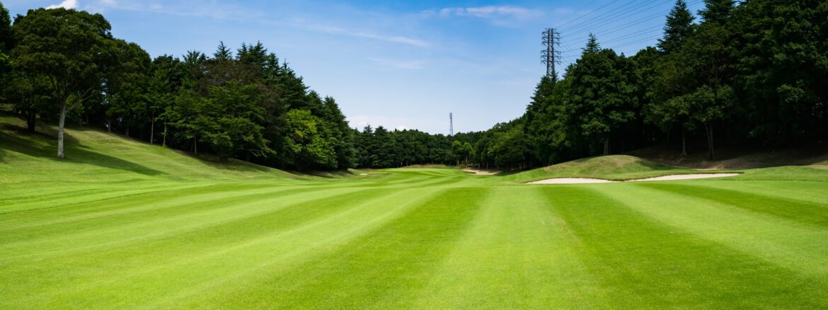 LGDF-fairwaysLRjpg.jpg
