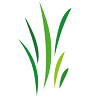 logo-min.png