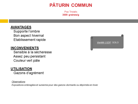 paturin-commun