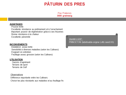 paturin-des-pres